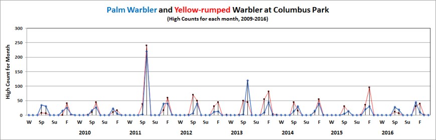 colpalmyellow-rumped
