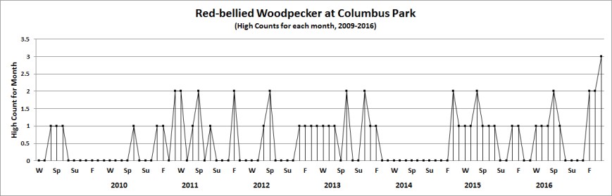 colred-belwoodpecker