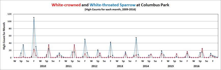 colwh-cr-w-thrsparrow